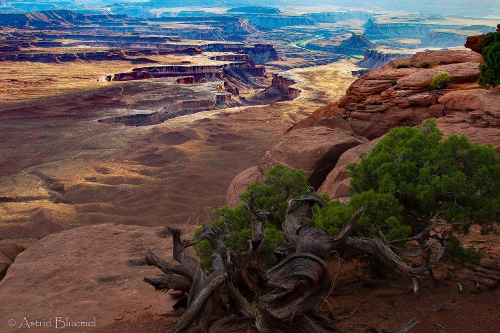 Green River Outlook in Island in the Sky