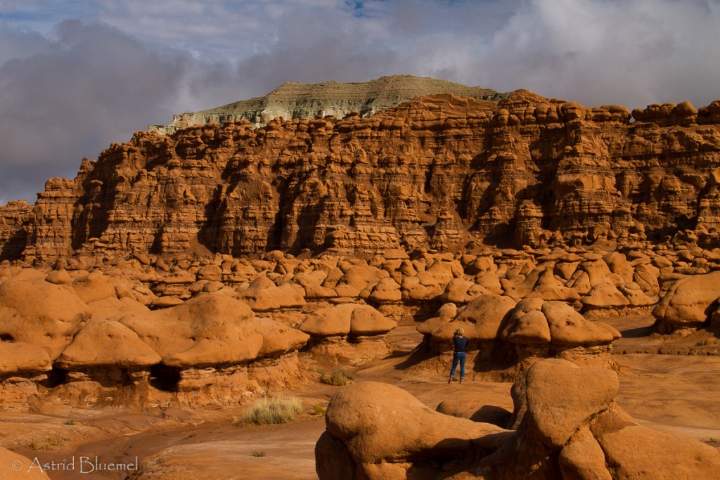 Gobelin Valley